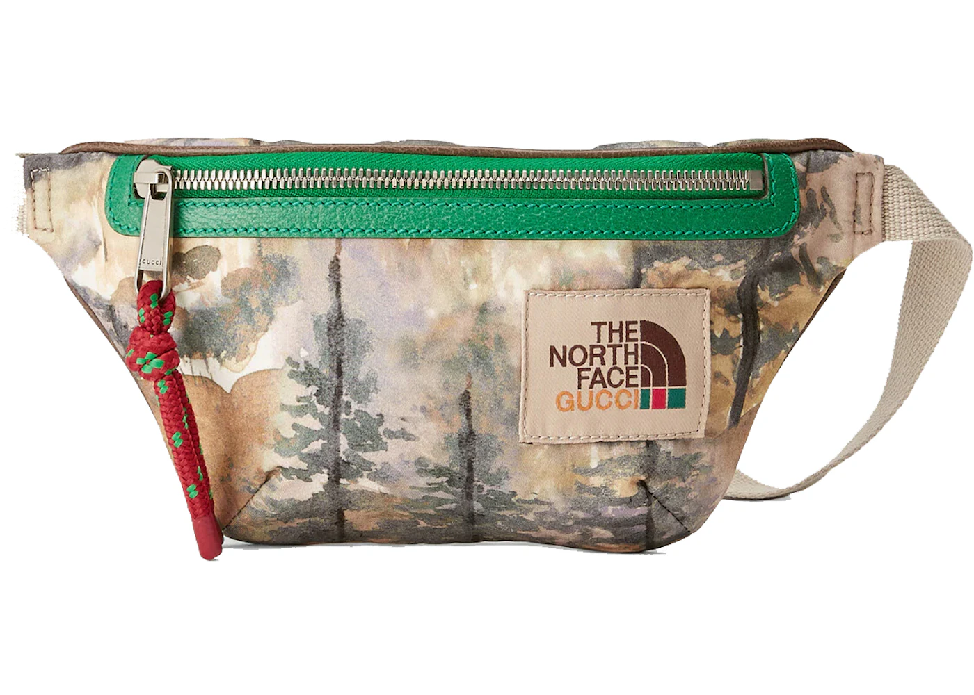 Gucci x The North Face Belt Bag Multicolor in Nylon with Silver