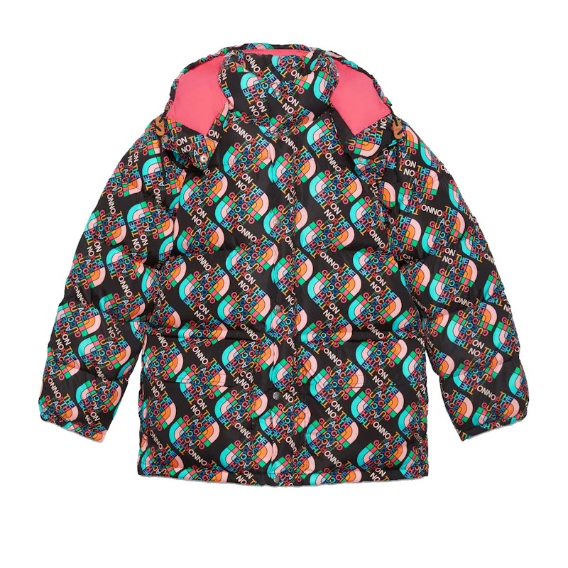 Gucci x The North Face Down Jacket Multicolor/Black