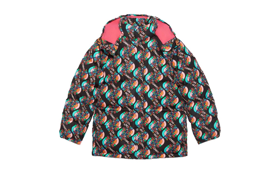 Pre-owned Gucci X The North Face Down Jacket Multicolor/black