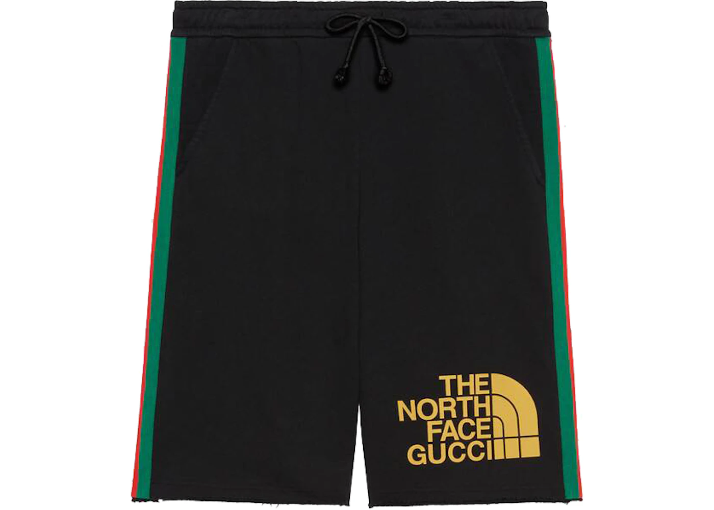 North outlet face shorts