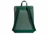 NWT Goyard Cisalpin Backpack Rare Green Leather (2023 Line)