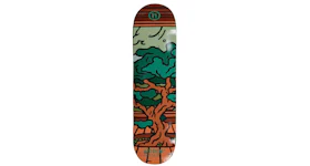 Hidden NY Present Skateboard Deck Green/Multi
