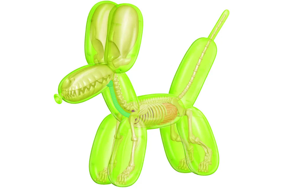 Jason Freeny 4D Master Funny Anatomy Balloon Dog Figure Clear Green