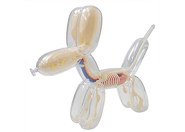 Jason Freeny 4D Master Funny Anatomy Balloon Dog Figure Clear 