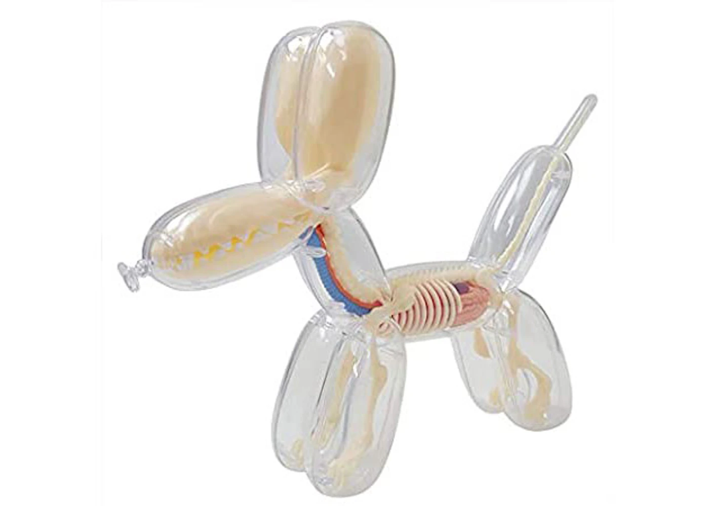 Balloon dog anatomy by jason freeny Clearance