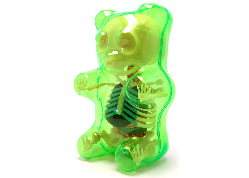 Jason Freeny 4D Master Funny Anatomy Gummy Bear Figure Clear Green - US