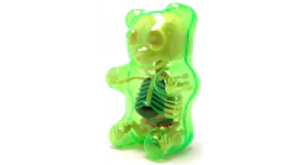 Jason Freeny 4D Master Funny Anatomy Gummy Bear Figure Clear Green