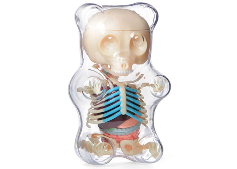 Jason Freeny 4D Master Funny Anatomy Gummy Bear Figure Clear