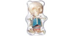 Jason Freeny 4D Master Funny Anatomy Figura de osito de goma transparente