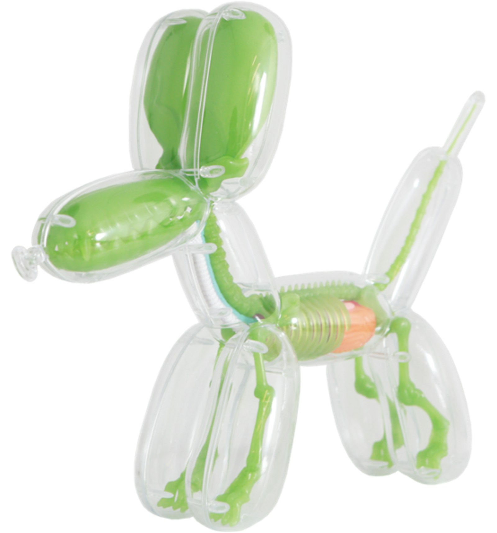 Jason Freeny Balloon Dog Anatomy (GID Edition)