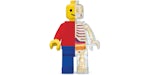 Jason Freeny Brick Man Rompecabezas Anatomático Grande