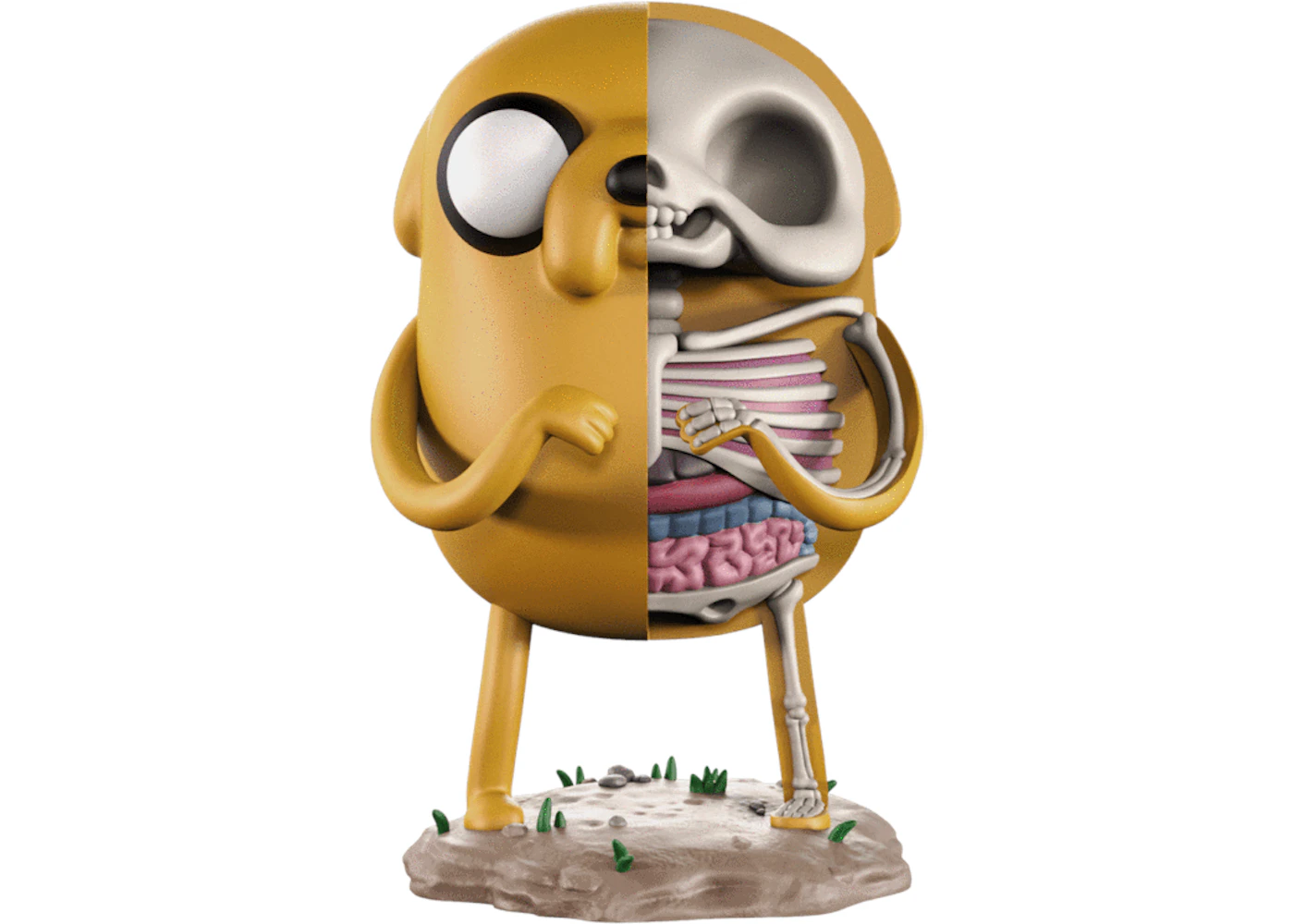 Jason Freeny Xxray Adventure Time Jake Figure Es Jason Freeny Xxray Adventure Time Jake Figure Es