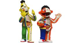 Jason Freeny XXRAY Plus: 9" Bert & 8.5" Ernie Figure