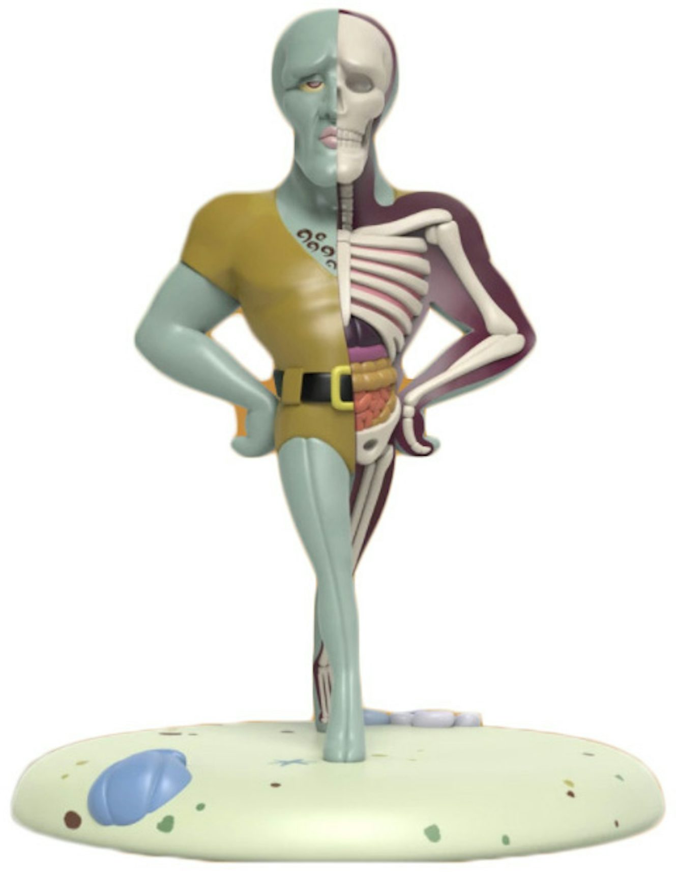 SpongeBob Anime Figures Model Skeleton Anime Half Anatomy Cartoon