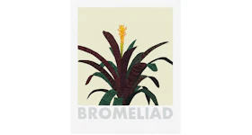 Jonas Wood Bromeliad Print (Signed, Edition of 200)