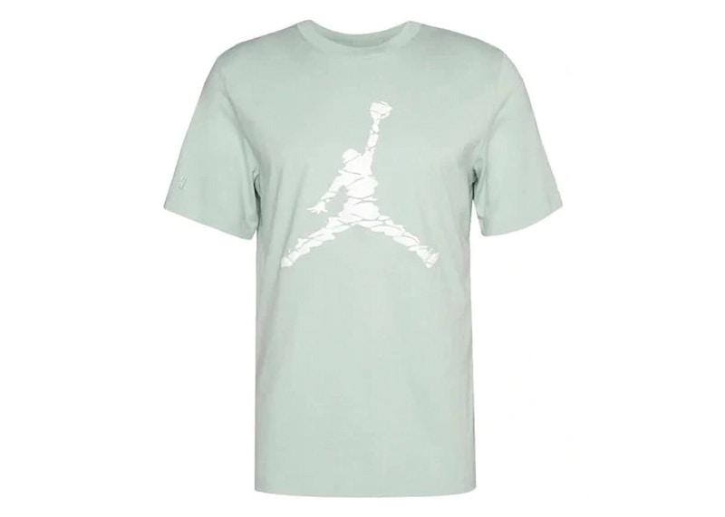 Pre-owned Jordan Men's Essentials T-shirt In Light Green/white