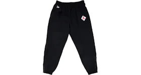 Nike x 2025 patta cargo trousers