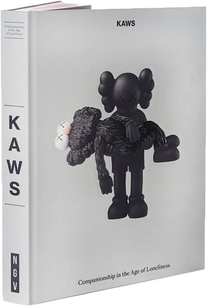 Companionship in the Age of Loneliness (pink) - KAWS – Nemoutis