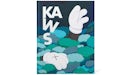 KAWS ha parlato troppo presto con copertina rigida