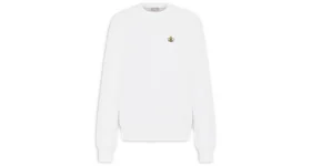 Dior 2025 sweatshirt kaws