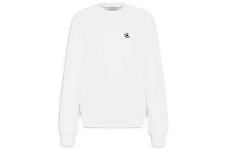 Kaws sales dior sweatshirt
