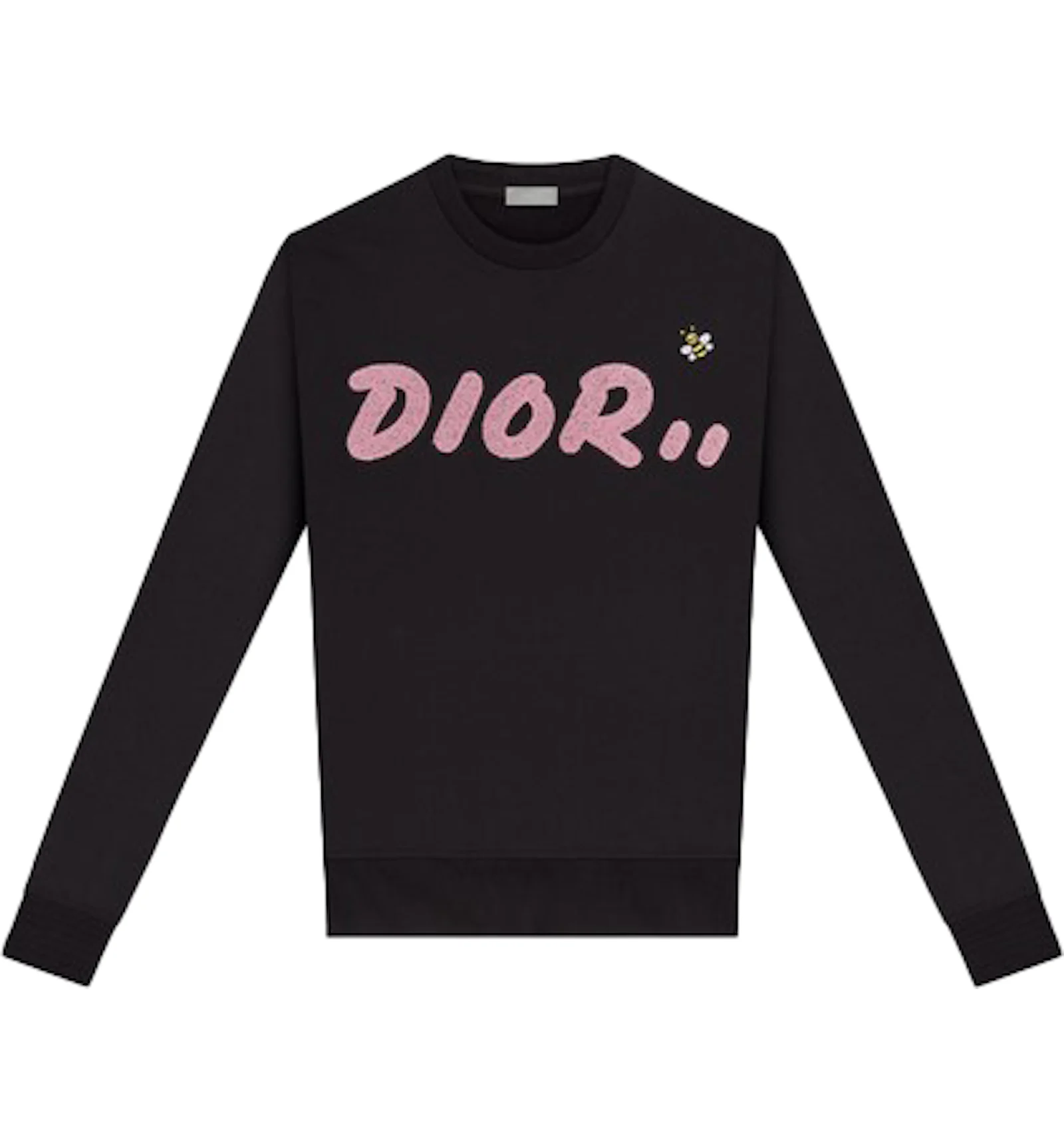 Dior 2025 kaws hoodie