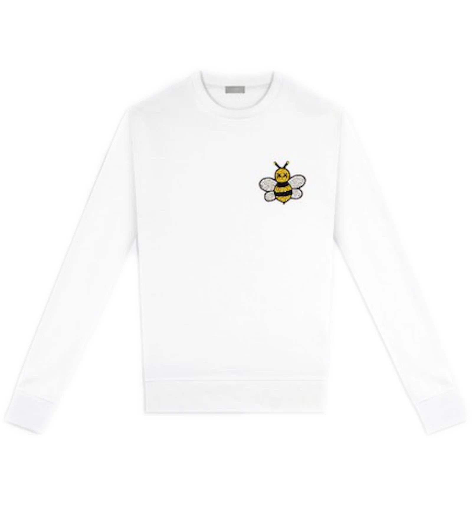 Dior online sweatshirt kaws