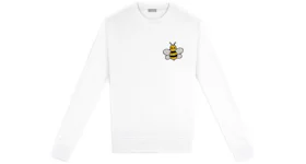 Dior 2025 sweatshirt kaws