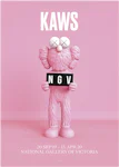 KAWS x NGV BFF Exhibition Poster Pink