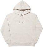 Gucci x The North Face Cotton Hoodie Brown Men's - SS21 - US