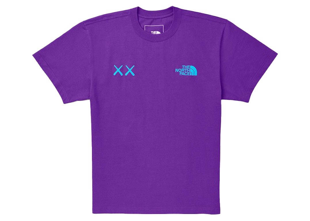 Pre-owned Kaws X The North Face Tee Gravity Purple