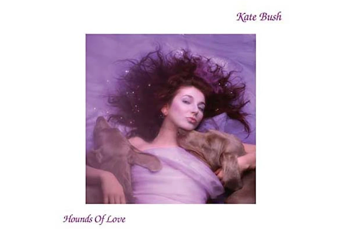 Kate Bush Hounds of Love 2018 Remastered Vinyl Black