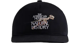 Kith AMNH Fossil Cap Black