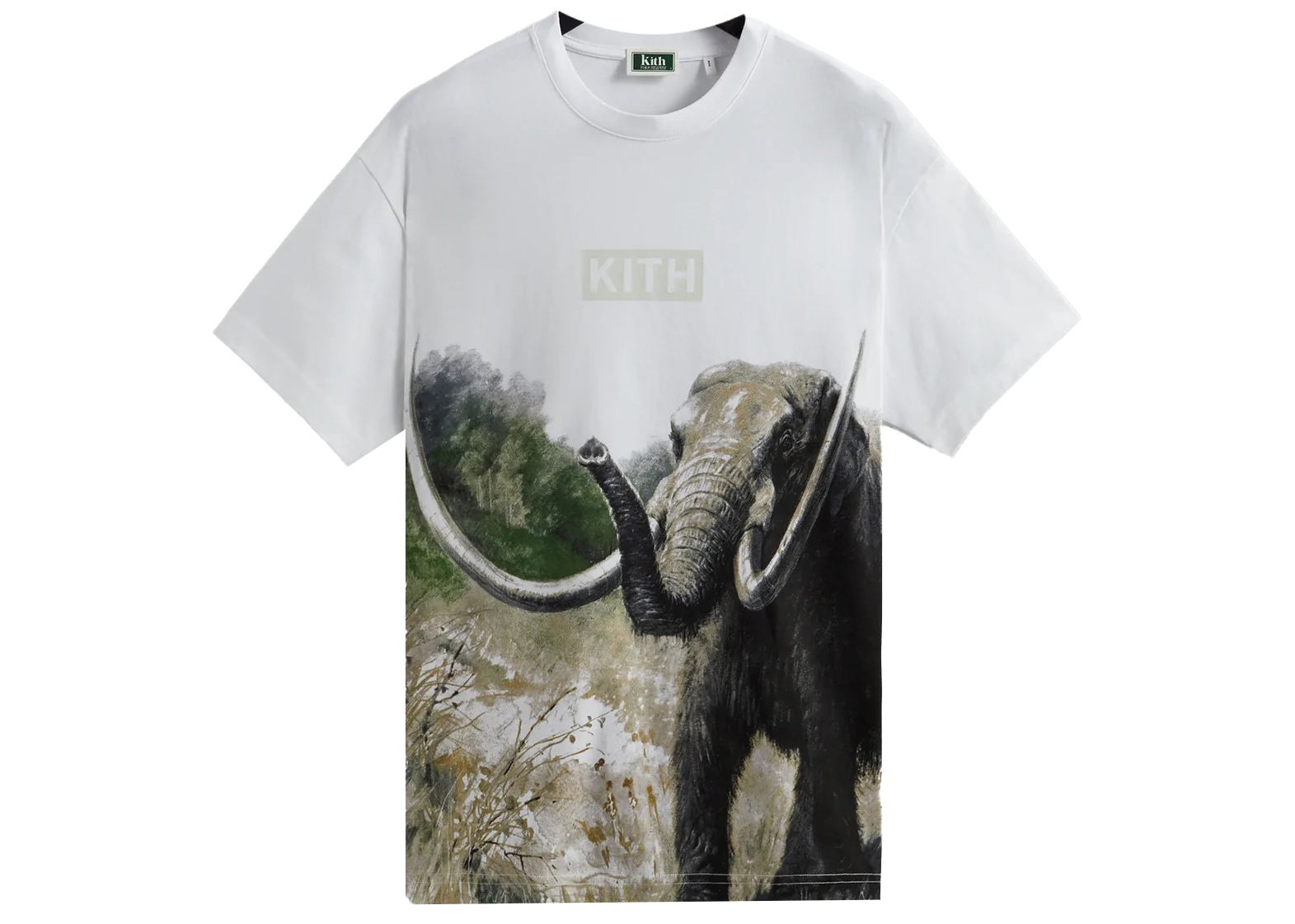 KITH FOR AMNH LATE MAMMALS VINTAGE Lメンズ
