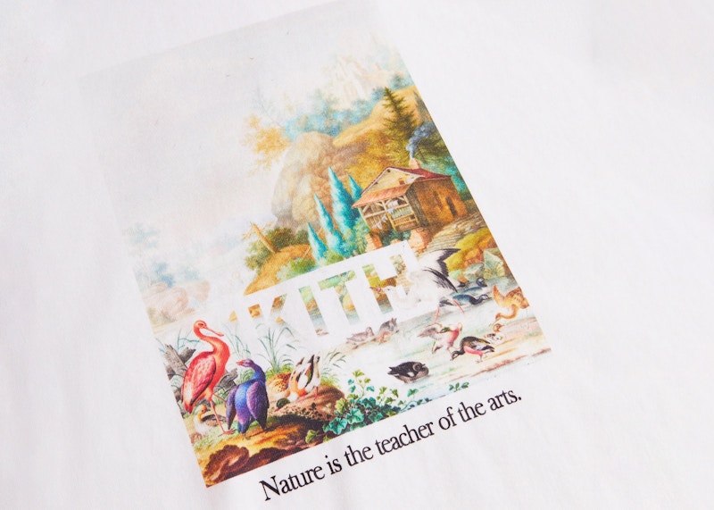 ゲンテン公式 KITH Art Of Nature Vintage Tee Mサイズ タグ付き