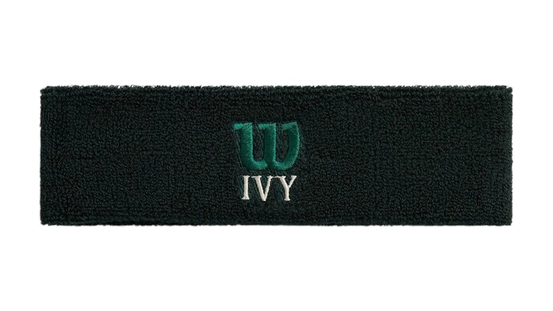 Wilson Terry Logo Stirnband - Klassisches Sweatband Für Sport & Fitness