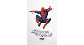 Kith The Amazing Spider-Man Poster
