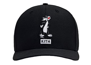 多様な × Kith Looney TWENTY 9 kith cap Tunes キャップ