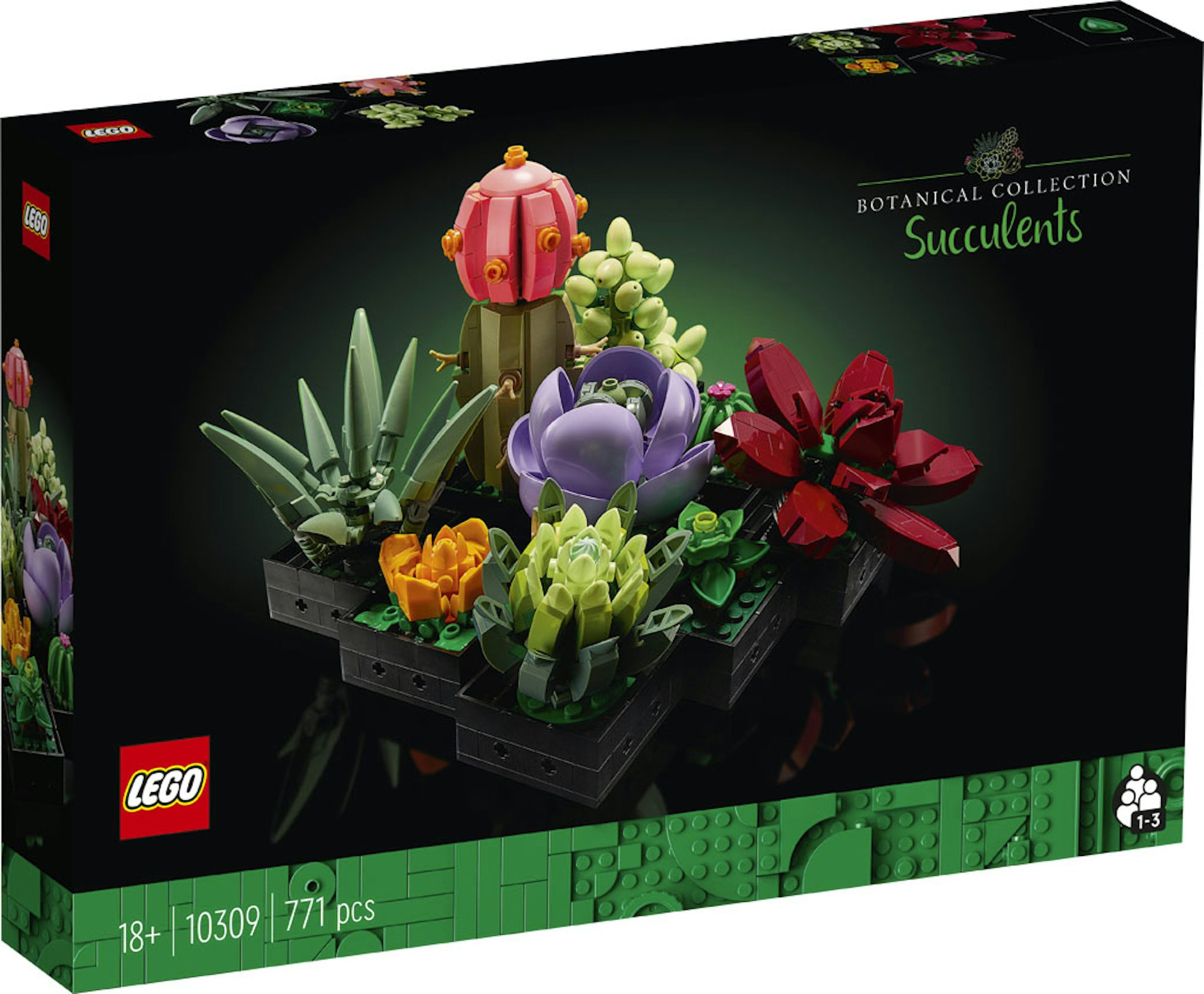 Nouveautés LEGO Botanical Collection 10309 Succulents et 10311