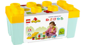 LEGO Duplo Organic Garden Set 10984