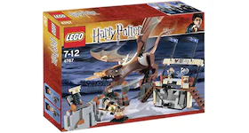 LEGO Harry Potter Harry and the Hungarian Horntail Set 4767