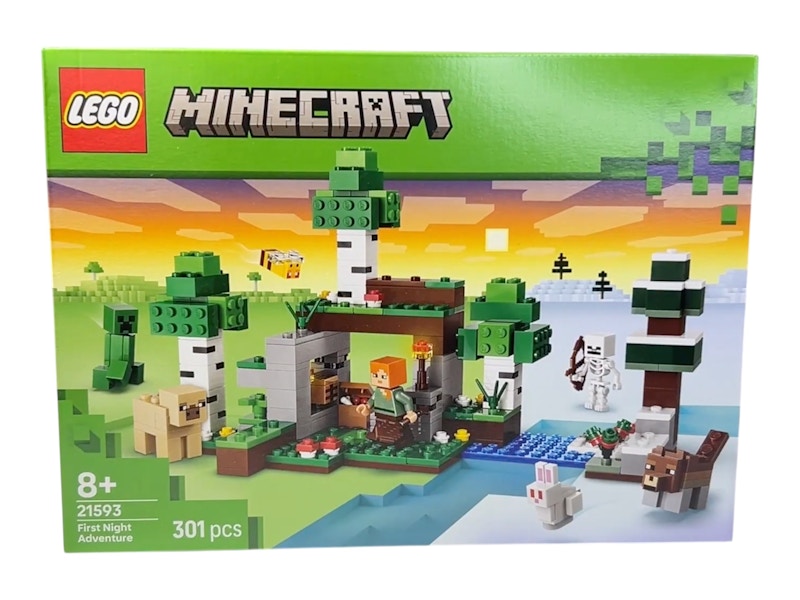 LEGO Minecraft: First Night Adventure Set #21593