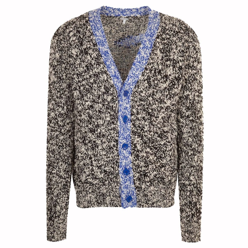 Loewe on sale leopard cardigan