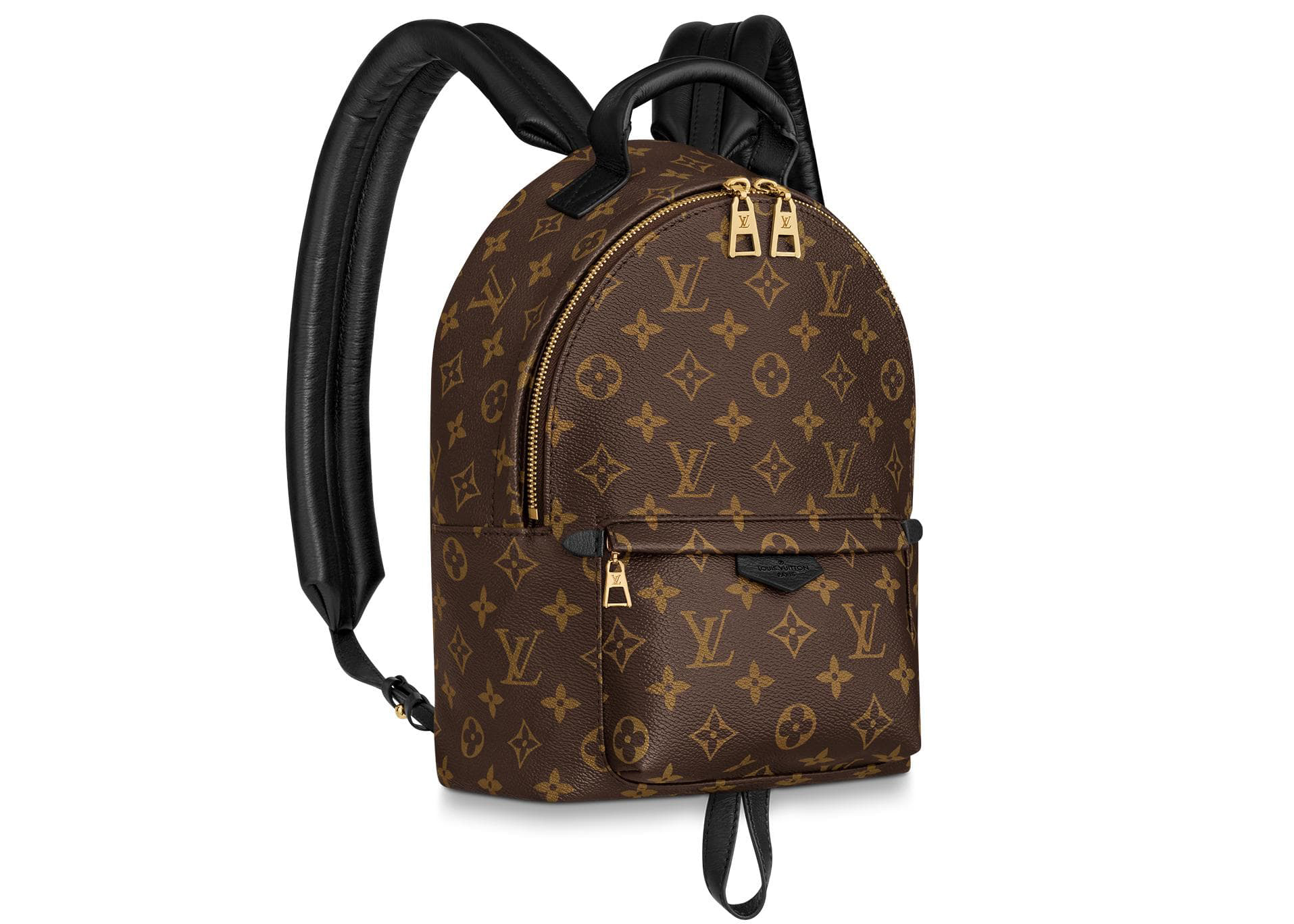 Louis Vuitton Palm Springs Monogram (Updated Zipper) PM in Coated ...