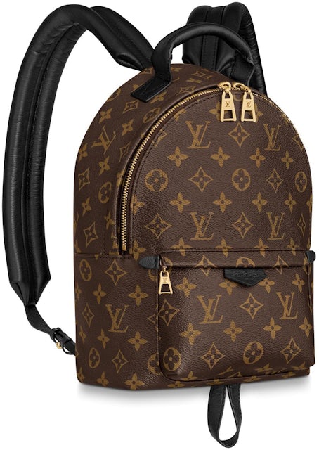 Louis Vuitton Palm Springs Monogram (Updated Zipper) PM in Coated