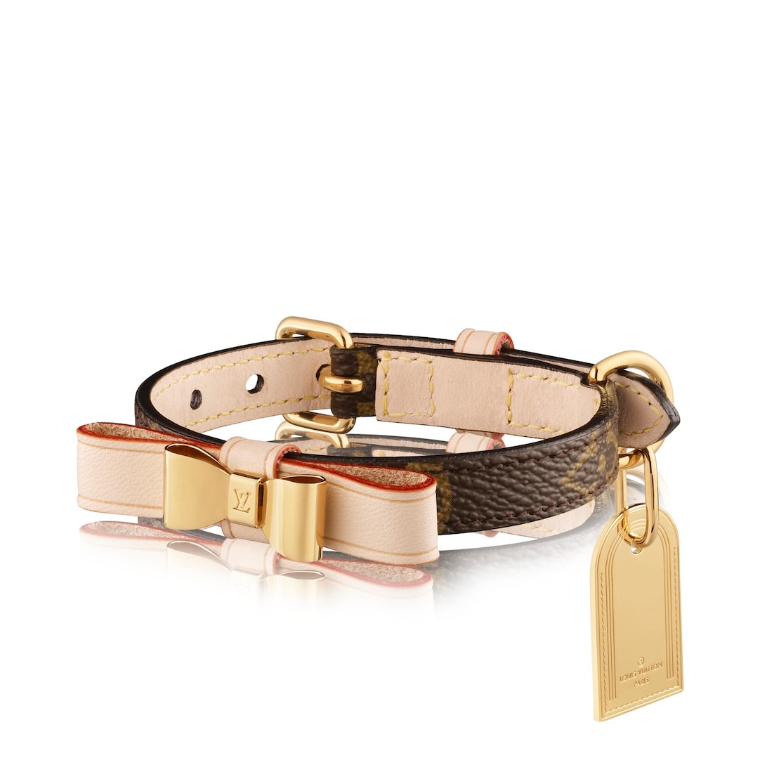 Louis Vuitton Baxter Dog Collar Monogram Bow X Small Brown in Canvas with  Goldtone  GB