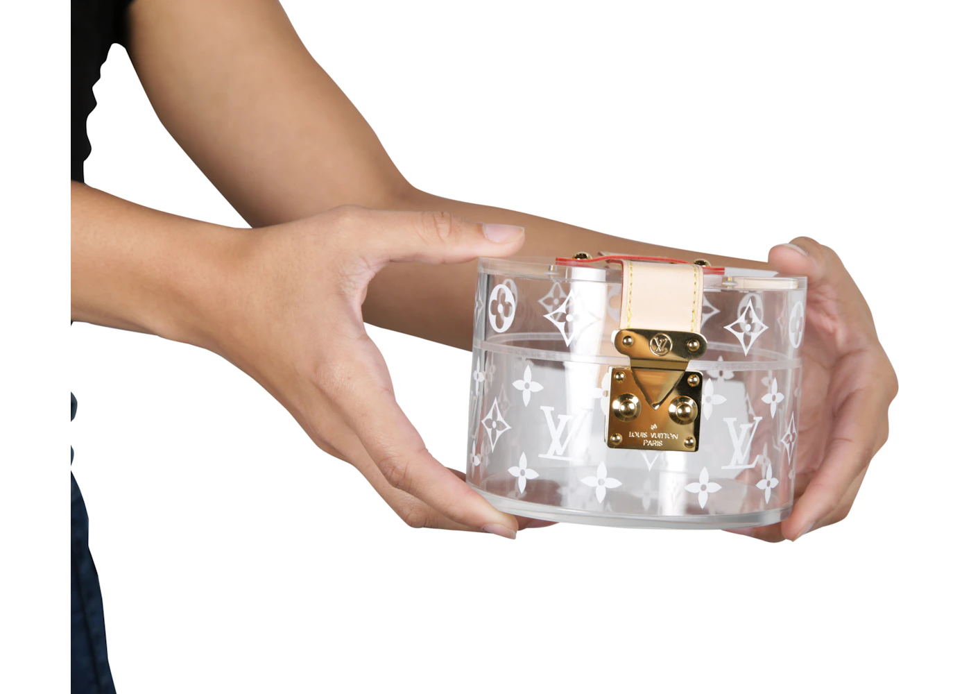 Louis Vuitton Box Scott Monogram Clear/Beige in Plexiglass/VVN Leather ...