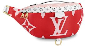 outfit louis vuitton teddy bumbag