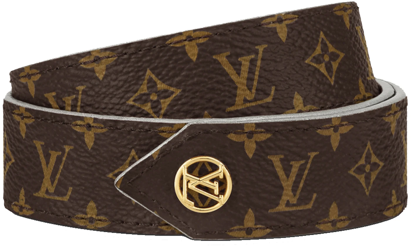 Louis Vuitton LV Pool Party Reversible Belt Silver/Monogram in Leather ...