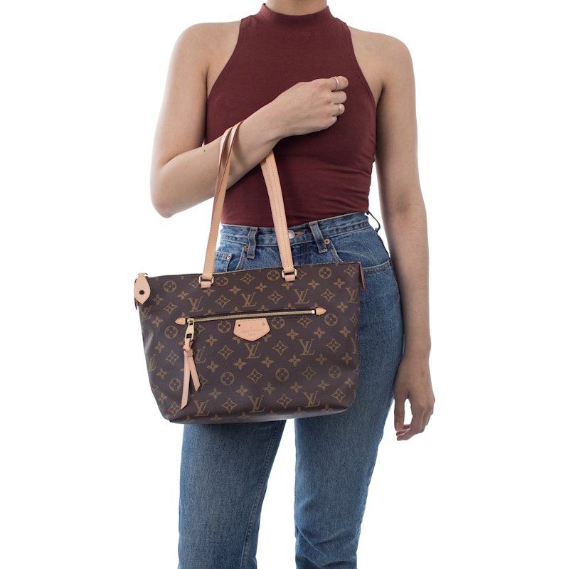 Louis Vuitton Iena Monogram PM Brown TW